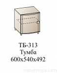 ТБ 313